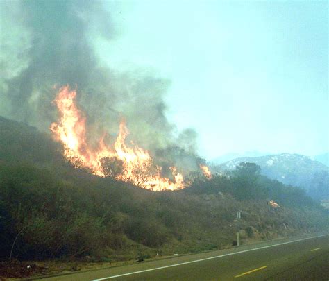 The Impact of the 2007 Witch Creek Fire on Wildlife Populations